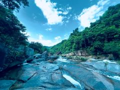 -海南热带雨林国家公园吊罗山景区