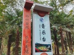 -音乐台