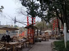 -成都市活水公园