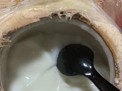 -志龙皇冠吃货椰子铺