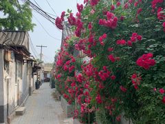 -北京国子监胡同