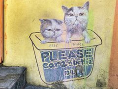 -槟城街头艺术街区