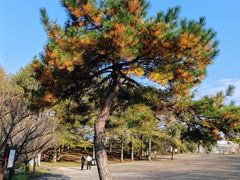 -四明山国家森林公园