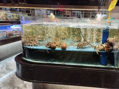 -阿伟海鲜楼·福建菜(延寿店)