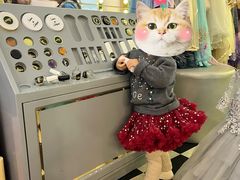 -Lilliput粒粒堡亲子餐厅(祥云小镇店)