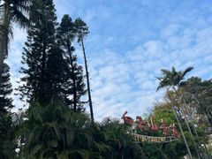 -广州市白云山风景名胜区