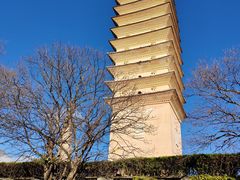 -崇圣寺三塔文化旅游区