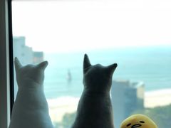 -海云台海滩