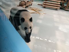 -柳州市动物园