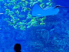 -威海华夏城景区