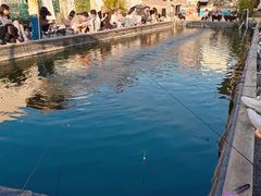 -DGE季风钓虾营地·团建·聚会