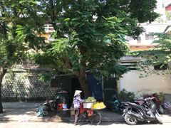 -圣约瑟夫大教堂