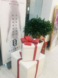 -DEM缔怡美科技美容