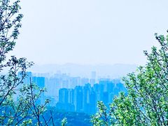 -岳麓山风景名胜区