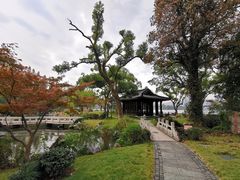 -杭州西湖柳莺里酒店·闻莺厅