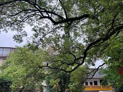 -宝通禅寺