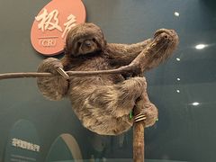 -国家自然博物馆