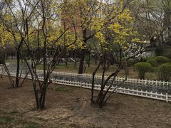 -碑林公园
