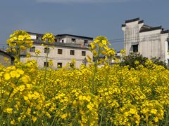 -新安江山水画廊风景区