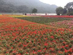 天池花海-广州市石门国家森林公园