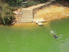 -广州市流溪河国家森林公园