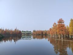 -白鹭湾湿地公园