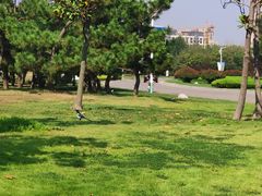 -向民炒鸡老店(火车站店)