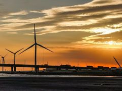 -杨记齐齐哈尔烤肉(总店)