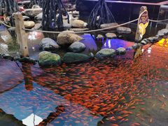 -鸿通城购物中心