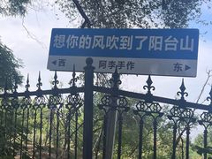 -阳台山自然风景区