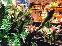 -森味薪火烧•烧鸟居酒屋•日本料理(望京店)