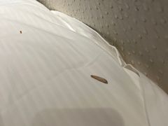 -三清山希尔顿度假酒店