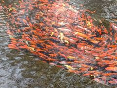 -水磨沟公园