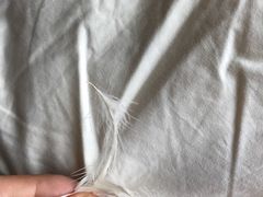 -红星美凯龙(北京北四环店)