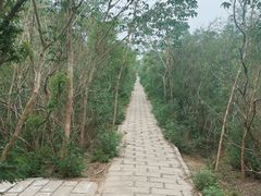 -元大都城垣遗址公园