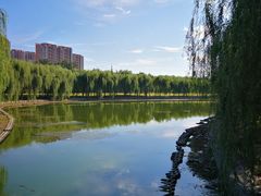 -东坝千亩湖公园