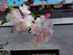 -陶然亭公园