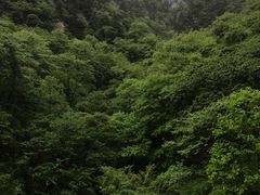 -尧山风景区