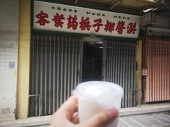 -洪馨椰子