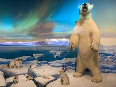 -陕西自然博物馆