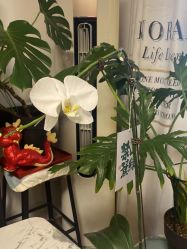 -盖氏丹辰·良咔瘦身·减脂塑形