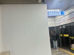 -东方体育中心(地铁站)