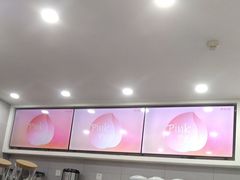 -雾与山茶(大禹城店)
