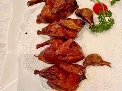 妙龄乳鸽-香山家宴