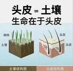 -木北造型