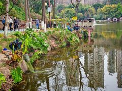 -重庆彩云湖湿地公园