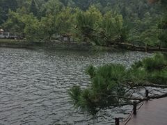 -庐山风景区花径公园