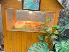 -上海大自然野生昆虫馆(东方明珠·爬宠昆虫探索中心)