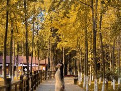 -艾溪湖湿地公园