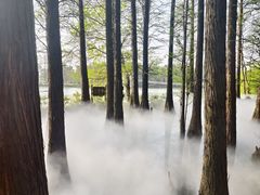 -东湖落雁景区